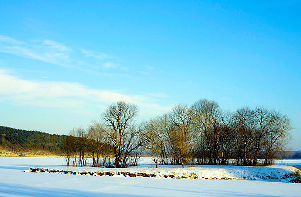 ����̶������