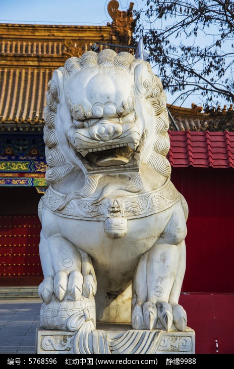 鞍山玉佛寺公石狮全身正面雕塑像图片