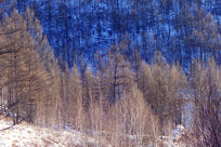 �ֺ�ѩԭɽ��