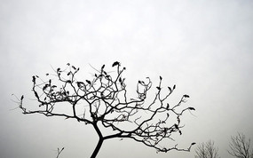 ���Ͻ���