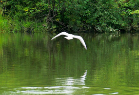 �����ˮ��