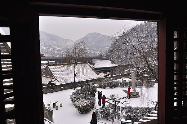 ��ѩ������