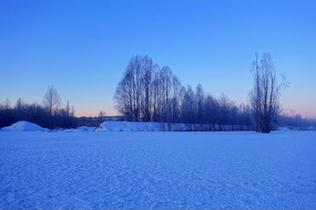 �ֺ�ѩԭ����