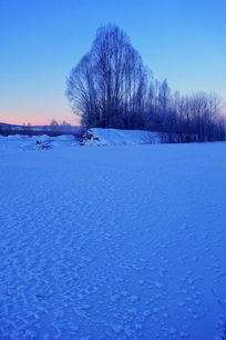 �ֺ�ѩԭ����