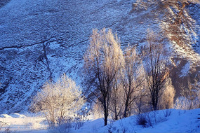 �ֺ�ѩԭ��ڡ