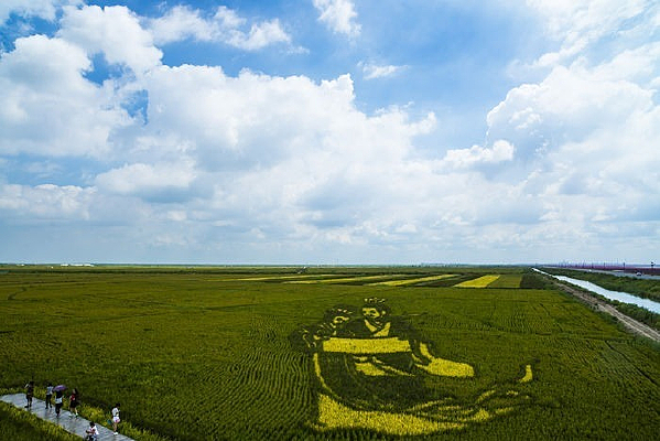 �����е���������