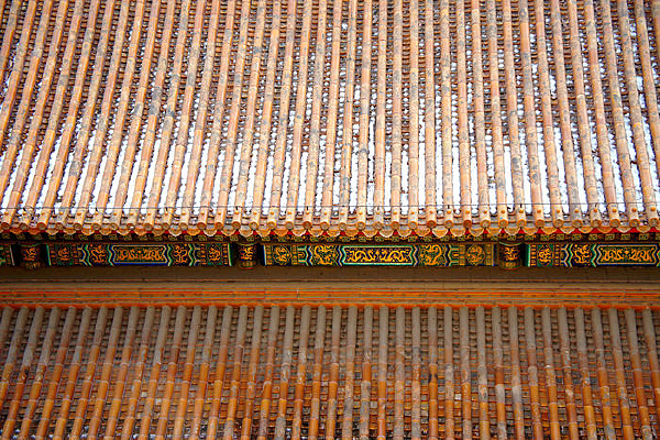 ���Ƶ��������ݶ��͵��δ���