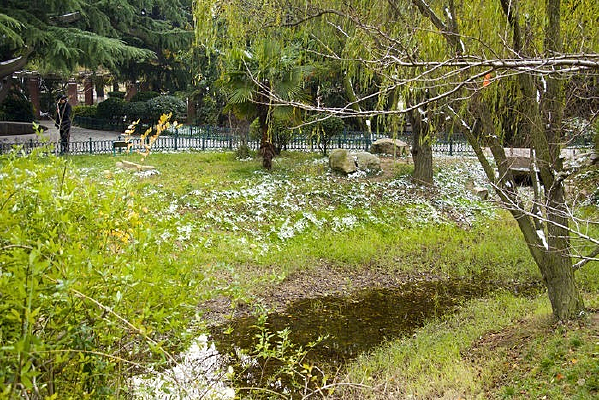 �ൺС�ൺ��԰