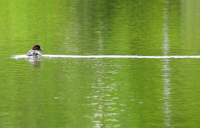 �˰���ҰѼ��