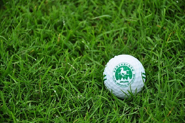 �߶�����