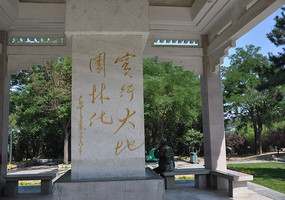 ͤ���ڵ����