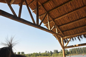 �����µ���ͤ