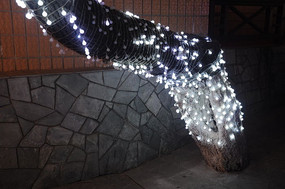 �����ʵƵ���