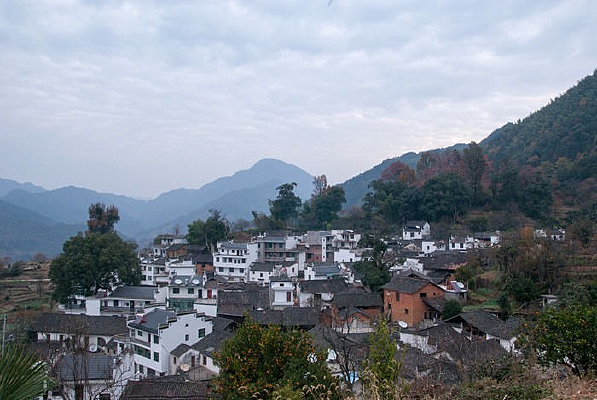 ɽ������