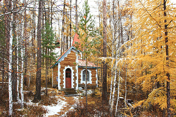 ����ľ��