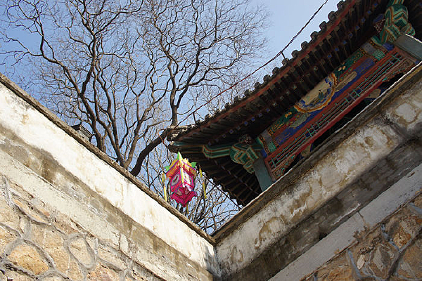 ʯǽǽ����ͤ�ǵĻ���