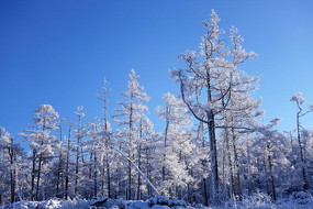 ������ڡѩ��