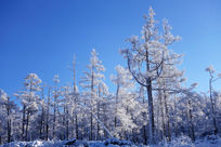 ������ڡѩ��