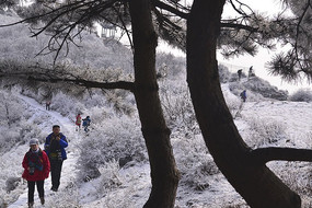 ѩɽ�ϵ�����