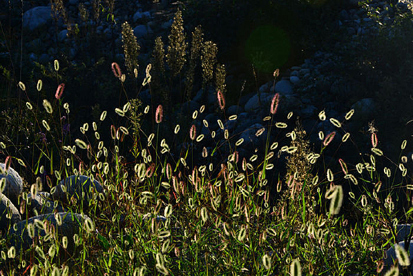 �����µĹ�