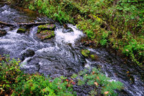 ������ˮ