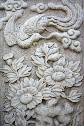  ����뻨����