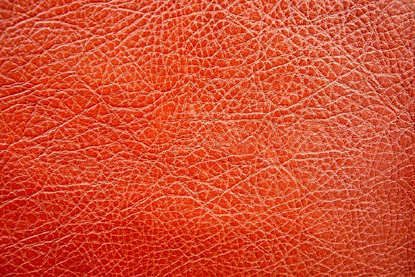 ��ɫ Ƥ���������