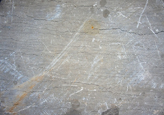  ǽ������