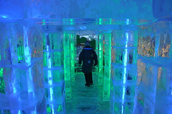 ���ڱ�ѩ����