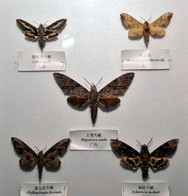 ���������������