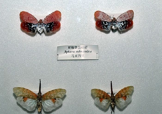  ����ϵ��