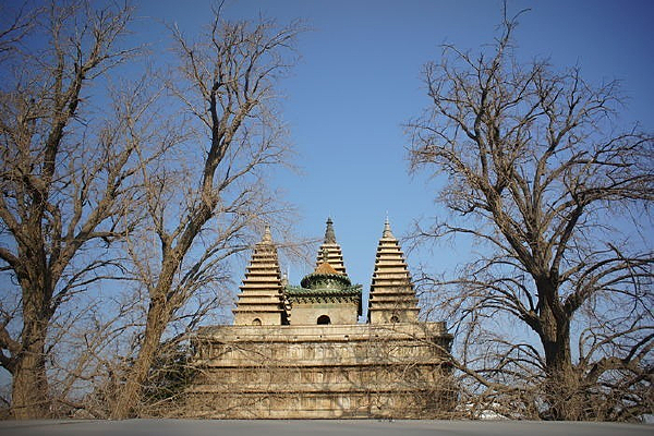  ��������½�ձ�����