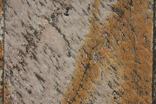 ������ǽ����