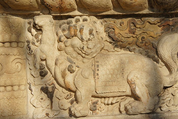  ��ձ������������ϵ�̵Ļ�ͷʨ��