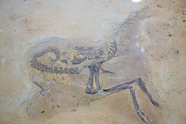 ������ʯ