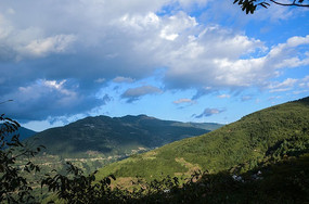 �����µĲ�ɽɽ��