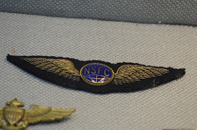 �׶�˹����