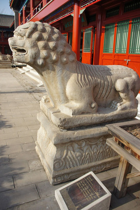  ����ʯ��ʨ