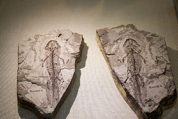 �����󢻯ʯ