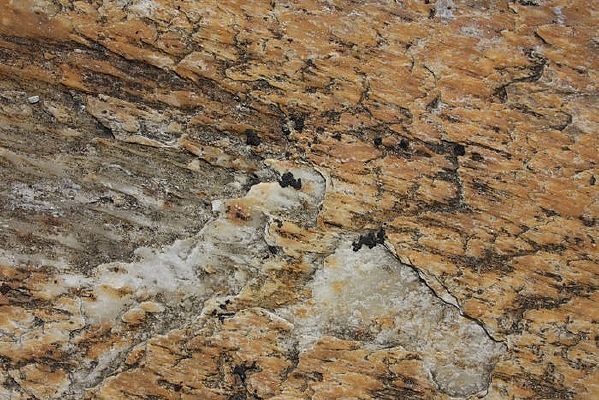 ��ǽ����