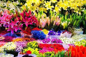  �ʻ�������ʻ�