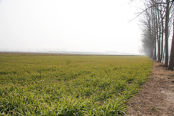 С������