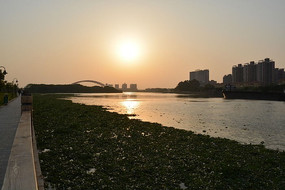 Ϧ�����˺�