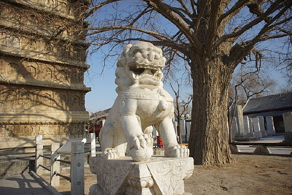  ����½�ձ�����ǰ��ʯʨ��