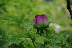 ���ŵ�ĵ��