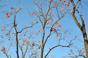 ������ʵ����