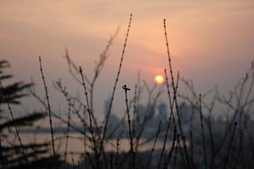 ���ߵĿݲ�ͼƬ