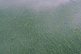 ��ˮ����