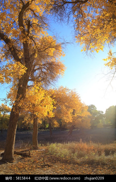 �����������ͼƬ