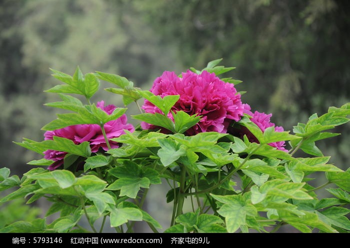 ʱ��ʱ�ֵ�ĵ��ͼƬ